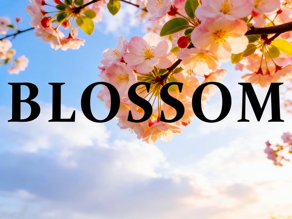 Blossom