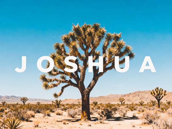 Joshua